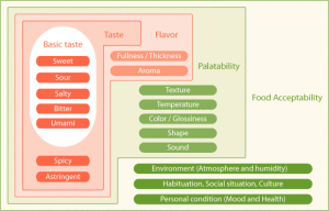 How Humans Experience Taste