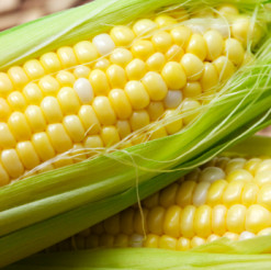 Creamed corn