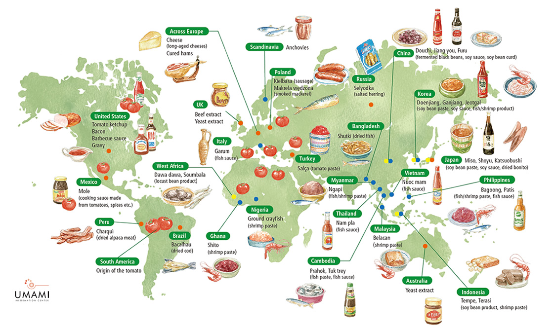 Ubiquitous Umami: Adding Flavor Around the World - MSGdish