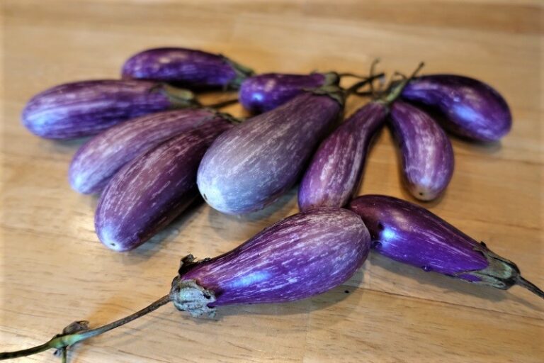 The Happily Ever After of the Umami Fairy Tale Eggplant MSGdish