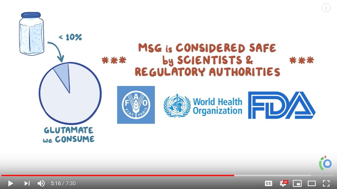 Is MSG Safe? Umami 101: Everything You Want to Know About MSG Safety,  Health and the Facts — OhCarlene