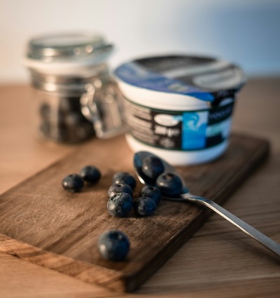 processed Greek yogurt
